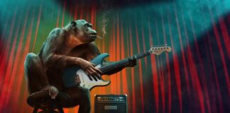 Jakie są etapy procesu decyzyjnego?