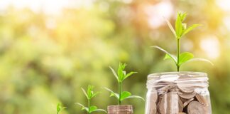 Czy bank należy do sektora finansów publicznych?