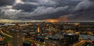 Czy w Holandii można studiować za darmo?