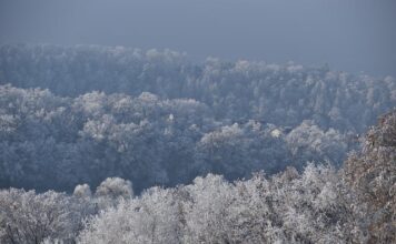 Jak zlikwidować ujemny kapitał własny? Jak zlikwidować ujemny kapitał własny?