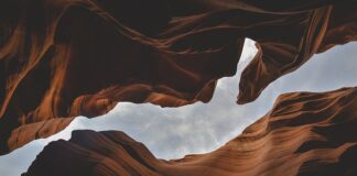 Jakie są formy prawne przedsiębiorstw?