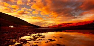 Jak dzielimy majątek firmy?