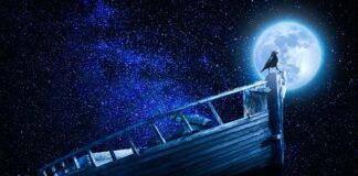 Co wchodzi w skład podstawy opodatkowania?