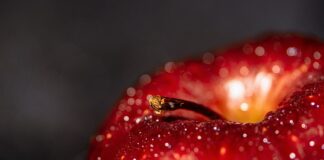 Jakie są korzyści ze studiowania za granicą?