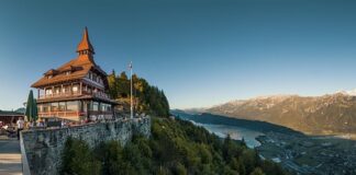 Co jest trudniejsze farmacja czy medycyna?