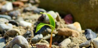 Kiedy wzrasta kapitał własny?