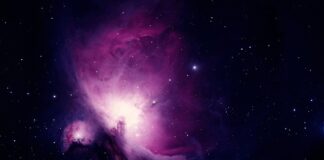 Czym Nauka w starożytnej Grecji różniła się od filozofii?