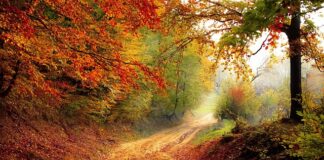 Do którego roku życia można wziąć kredyt hipoteczny?