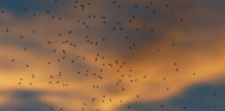 Jaki jest wzór na masę?