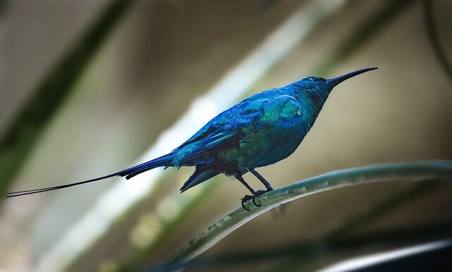 Czy na fakturze musi być imię i nazwisko osoby wystawiającej fakturę?