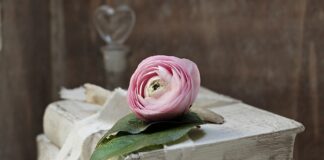 Czy pasywa to zobowiązania?